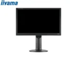 MONITOR 24" LED IIYAMA B2480HS-B2 BL WIDE MU NEW